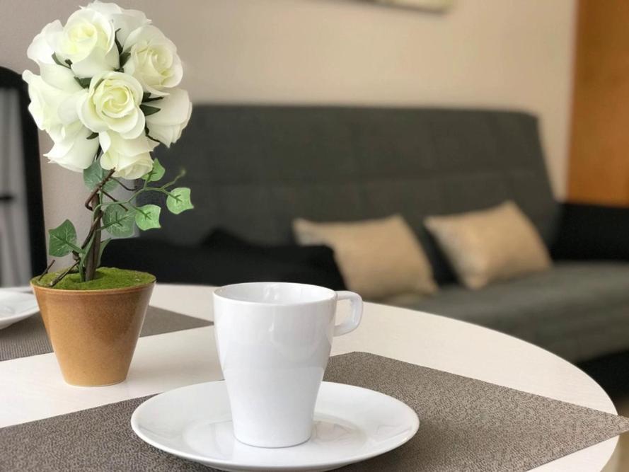 Del Cura Beach Apartment Torrevieja Kültér fotó